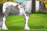 Horse Color:Smoky Black Ice Tobiano 