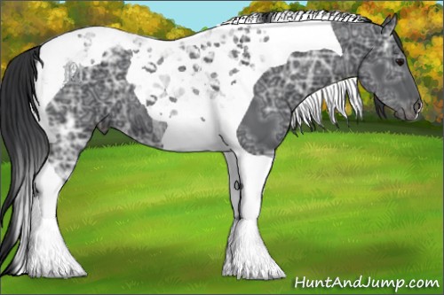 Horse Color:Black Ice Tobiano 