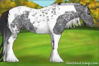 Horse Color:Black Ice Tobiano 