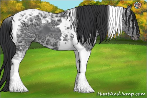 Horse Color:Black Ice Tobiano 