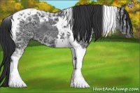 Horse Color:Black Ice Tobiano