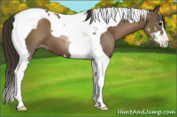 Horse Color:Gray Black Pearl Sabino Tobiano