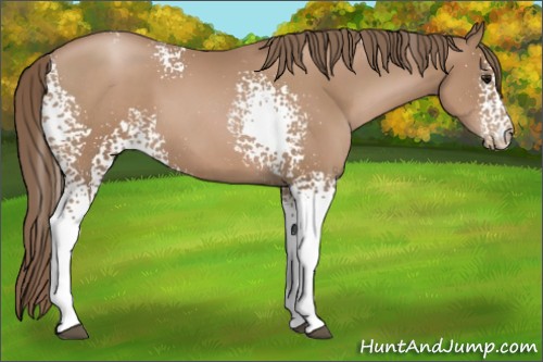 Horse Color:White Spotted Black Pearl 