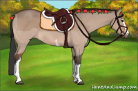 Horse Color:White Spotted Brown Dun
