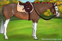 Horse Color:White Spotted Bay Splash 