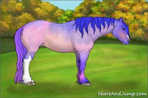 Horse Color:Watercolor Bay Roan Appaloosa