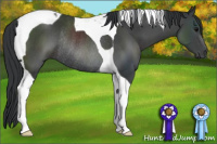 Horse Color:Black Tobiano Rabicano 