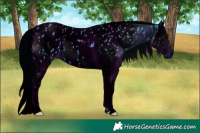 Horse Color:ERROR: UNKNOWN ANOMALY