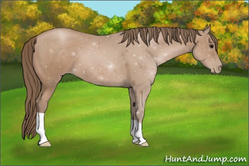 Horse Color:Black Pearl