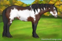 Horse Color:Brown Frame