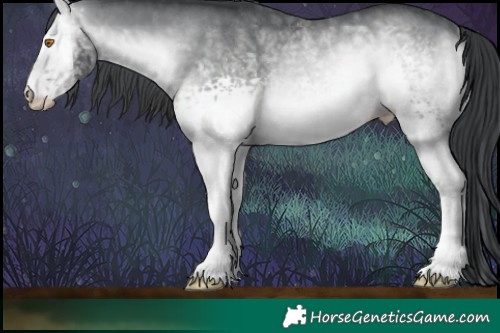 Horse Color:White Spotted Brown Chinchilla Onyx Rabicano