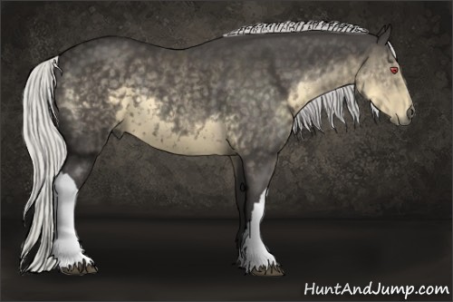 Horse Color:Silver Smoky Black Chinchilla 