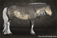 Horse Color:Silver Smoky Black Chinchilla 