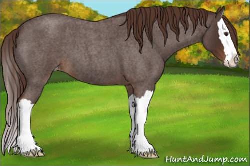 Horse Color:Liver Red Roan Splash Appaloosa 