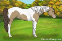 Horse Color:Classic Cream Champagne Tobiano