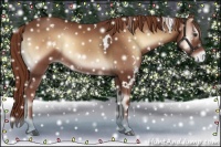 Horse Color:White Spotted Red Onyx 