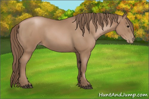 Horse Color:Black Pearl 