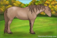 Horse Color:Black Pearl 