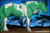 Horse Color:Gray Watercolor Black Tobiano