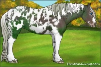 Horse Color:Silver Black Splash Tobiano Frame Appaloosa