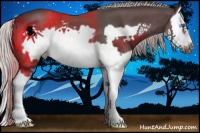 Horse Color:Silver Black Splash Frame 