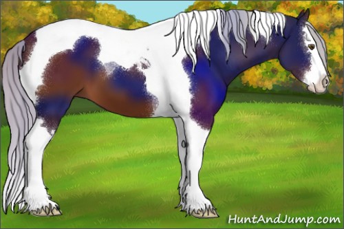 Horse Color:Silver Brown Splash Tobiano 