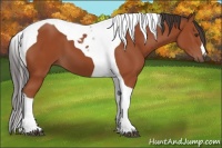 Horse Color:Brown Tobiano 