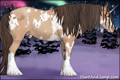 Horse Color:White Spotted Bay Blanket  and Amber Champagne 