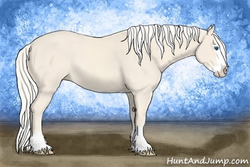 Horse Color:Cremello Sabino Splash 