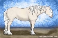 Horse Color:Cremello Sabino Splash