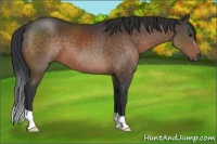 Horse Color:Brown 
