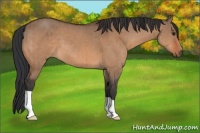 Horse Color:Brown Dun Brindle 