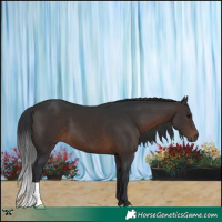 Horse Color:Brown 
