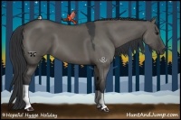 Horse Color:Grullo 