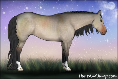 Horse Color:Brown Dun