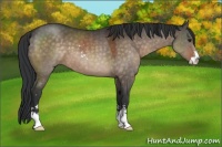 Horse Color:Brown Dun Sabino 