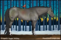Horse Color:Grullo 