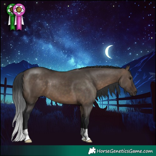 Horse Color:Brown Dun 