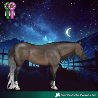 Horse Color:Brown Dun