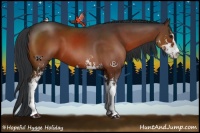 Horse Color:Brown Sabino