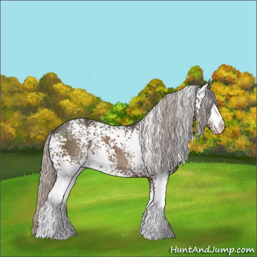 Horse Color:White Spotted Silver Black 