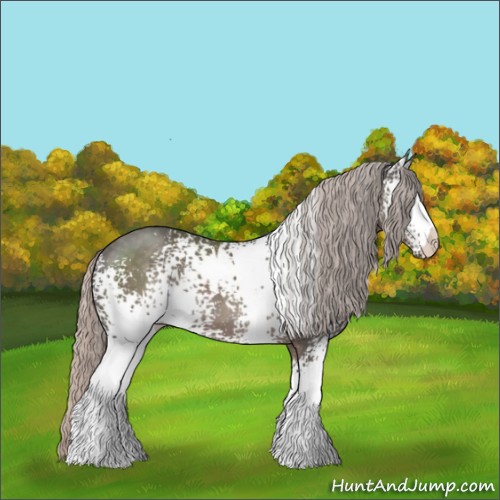 Horse Color:White Spotted Silver Black