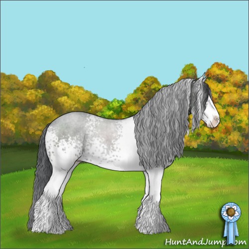 Horse Color:White Spotted Black Sabino