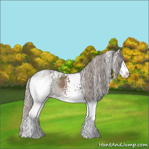 Horse Color:White Spotted Silver Black Sabino 