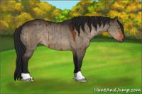 Horse Color:Gray Brown Dun Brindle 