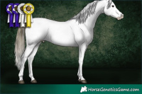 Horse Color:White Spotted Buckskin Blanket 