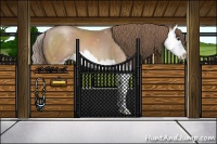 Horse Color:Black Pearl Sabino Splash 
