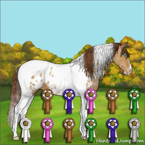 Horse Color:Gray Buckskin Pearl Tobiano Near Leopard