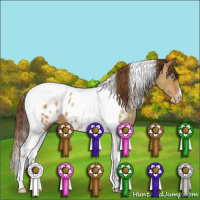 Horse Color:Gray Buckskin Pearl Tobiano Near Leopard 