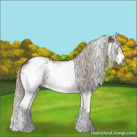 Horse Color:Gray White Spotted Silver Bay 